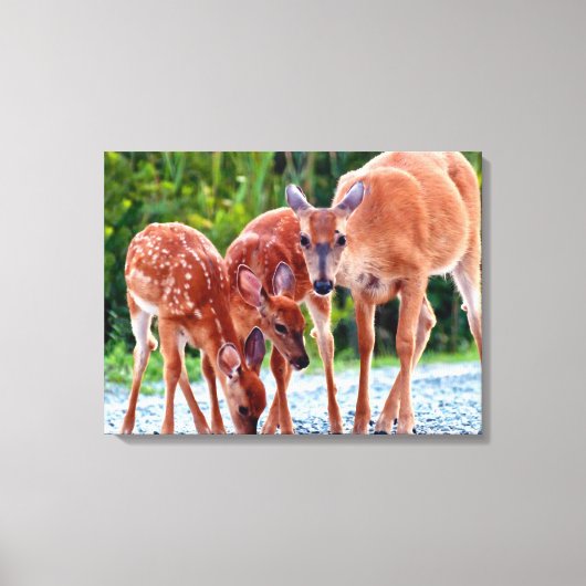 Kutest Baby Animals | Verdwenen met baby's Canvas Afdruk (Voorkant)