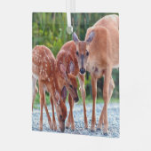 Kutest Baby Animals | Verdwenen met baby's Glas Ornament (Voorkant links)