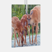 Kutest Baby Animals | Verdwenen met baby's Glas Ornament (Voorkant Rechts)