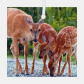 Kutest Baby Animals | Verdwenen met baby's Glas Ornament (Achterkant)