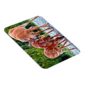 Kutest Baby Animals | Verdwenen met baby's Magneet (Rechterzijde)