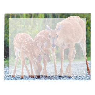 Kutest Baby Animals Verdwenen met baby's Notitieblok