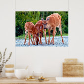 Kutest Baby Animals | Verdwenen met baby's Poster (Keuken)