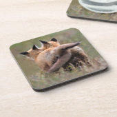 Kutest Baby Animals | Vergrendelingstaarten voor r Bier Onderzetter (Linkerzijde)