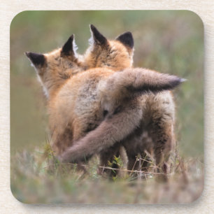 Kutest Baby Animals   Vergrendelingstaarten voor r Bier Onderzetter