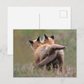 Kutest Baby Animals | Vergrendelingstaarten voor r Briefkaart (Voorkant / Achterkant)