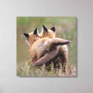 Kutest Baby Animals   Vergrendelingstaarten voor r Canvas Afdruk