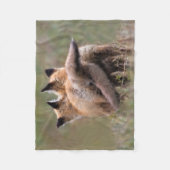 Kutest Baby Animals | Vergrendelingstaarten voor r Fleece Deken (Voorkant)