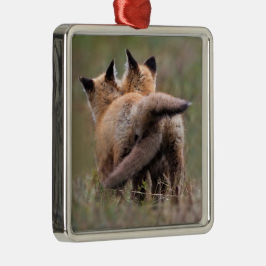 Kutest Baby Animals | Vergrendelingstaarten voor r Metalen Ornament (Rechts)