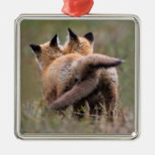 Kutest Baby Animals | Vergrendelingstaarten voor r Metalen Ornament (Voorkant)