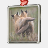 Kutest Baby Animals | Vergrendelingstaarten voor r Metalen Ornament (Links)