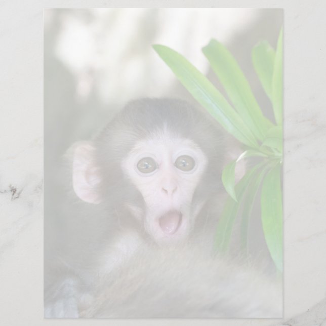 Kutest Baby Animals | Verrassde sneeuwaap (Voorkant)
