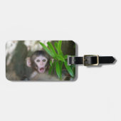 Kutest Baby Animals | Verrassde sneeuwaap Bagagelabel (Voorkant horizontaal)