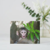 Kutest Baby Animals | Verrassde sneeuwaap Briefkaart (Staand voorkant)