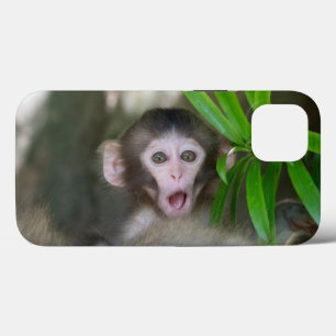 Kutest Baby Animals   Verrassde sneeuwaap Case-Mate iPhone Case