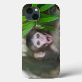 Kutest Baby Animals | Verrassde sneeuwaap Case-Mate iPhone Case (Achterkant)