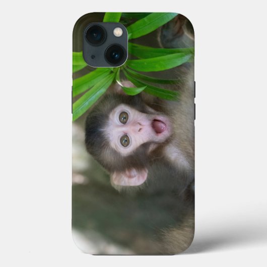 Kutest Baby Animals | Verrassde sneeuwaap Case-Mate iPhone Case (Achterkant)