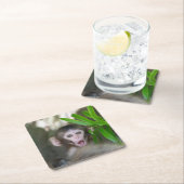 Kutest Baby Animals | Verrassde sneeuwaap Kartonnen Onderzetters (Insitu)