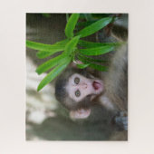 Kutest Baby Animals | Verrassde sneeuwaap Legpuzzel (Verticaal)