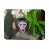 Kutest Baby Animals | Verrassde sneeuwaap Magneet (Horizontaal)