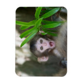 Kutest Baby Animals | Verrassde sneeuwaap Magneet (Verticaal)