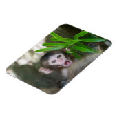 Kutest Baby Animals | Verrassde sneeuwaap Magneet (Linkerzijde)