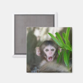 Kutest Baby Animals | Verrassde sneeuwaap Magneet (Voorkant / Achterkant)