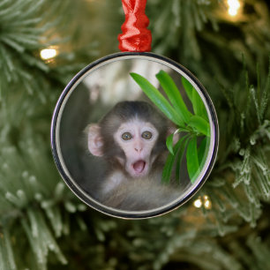 Kutest Baby Animals Verrassde sneeuwaap Metalen Ornament