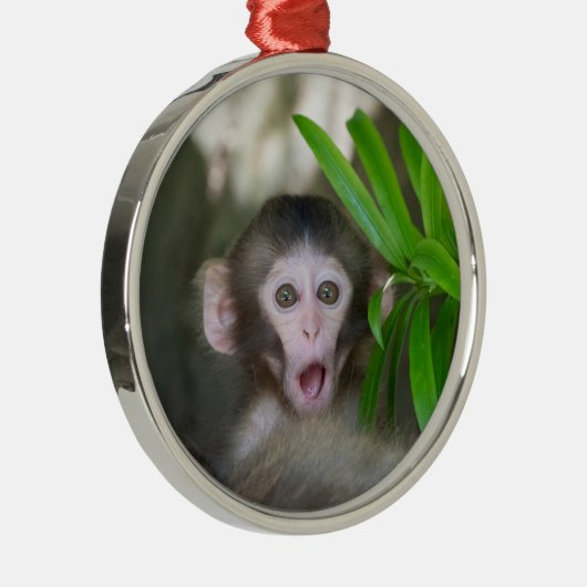 Kutest Baby Animals | Verrassde sneeuwaap Metalen Ornament (Rechts)