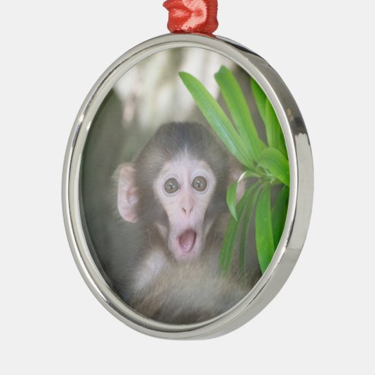 Kutest Baby Animals | Verrassde sneeuwaap Metalen Ornament (Links)