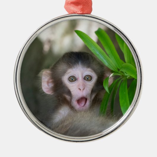 Kutest Baby Animals | Verrassde sneeuwaap Metalen Ornament (Voorkant)