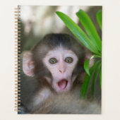 Kutest Baby Animals | Verrassde sneeuwaap Planner (Voorkant)