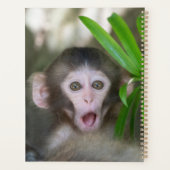 Kutest Baby Animals | Verrassde sneeuwaap Planner (Achterkant)
