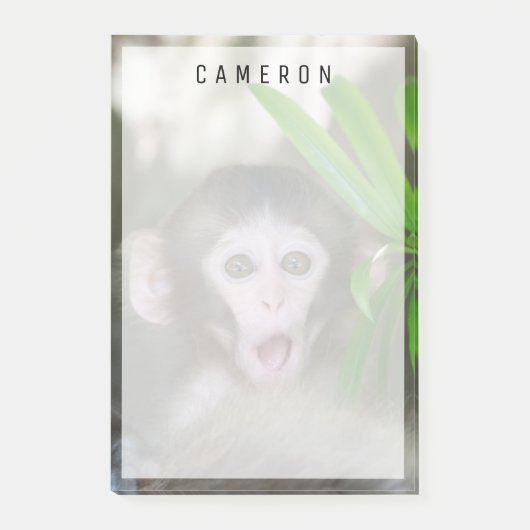 Kutest Baby Animals | Verrassde sneeuwaap Post-it® Notes (Voorkant)