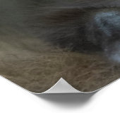 Kutest Baby Animals | Verrassde sneeuwaap Poster (Hoek)