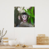 Kutest Baby Animals | Verrassde sneeuwaap Poster (Keuken)