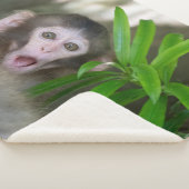 Kutest Baby Animals | Verrassde sneeuwaap Sherpa Deken (3/4)