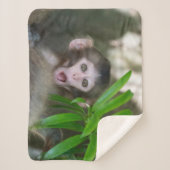 Kutest Baby Animals | Verrassde sneeuwaap Sherpa Deken (Voorkant)