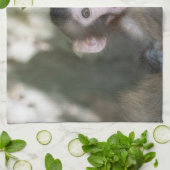 Kutest Baby Animals | Verrassde sneeuwaap Theedoek (Gevouwen)