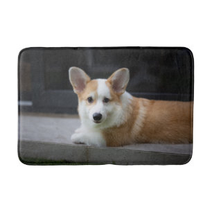 Kutest Baby Animals   Versoepeling Corgi Puppy Badmat