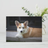 Kutest Baby Animals | Versoepeling Corgi Puppy Bedankkaart (Staand voorkant)