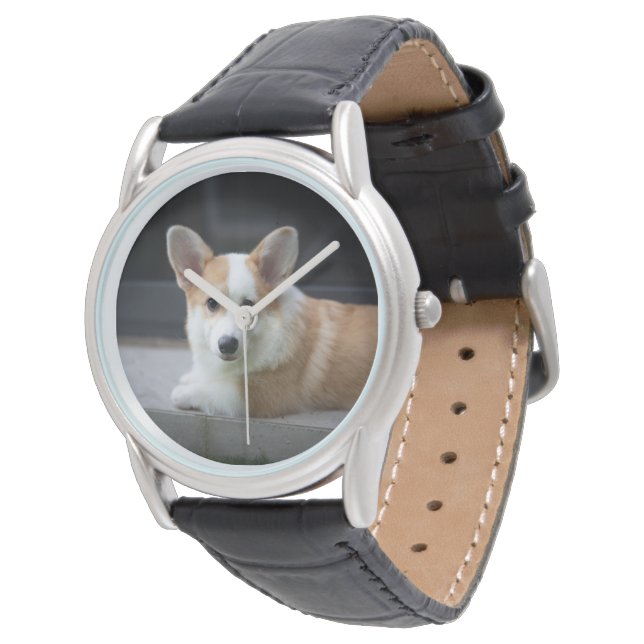 Kutest Baby Animals | Versoepeling Corgi Puppy Horloge (Gekanteld)
