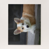 Kutest Baby Animals | Versoepeling Corgi Puppy Legpuzzel (Verticaal)