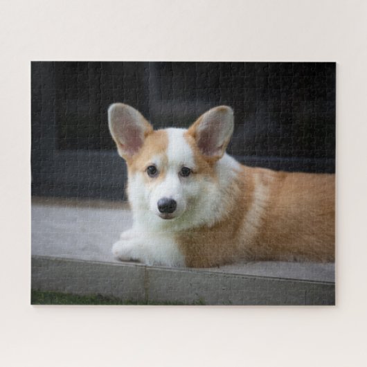 Kutest Baby Animals | Versoepeling Corgi Puppy Legpuzzel (Horizontaal)