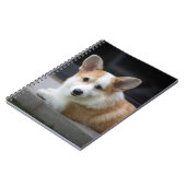 Kutest Baby Animals | Versoepeling Corgi Puppy Notitieboek (Linkerzijde)