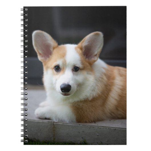 Kutest Baby Animals | Versoepeling Corgi Puppy Notitieboek (Voorkant)