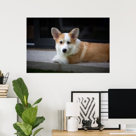 Kutest Baby Animals | Versoepeling Corgi Puppy Poster (Thuiskantoor)