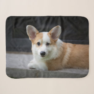 Kutest Baby Animals Versoepeling Corgi Puppy Sherpa Deken
