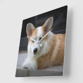 Kutest Baby Animals | Versoepeling Corgi Puppy Vierkante Klok (Hoek)