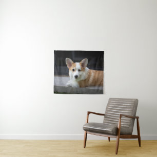 Kutest Baby Animals Versoepeling Corgi Puppy Wandkleed